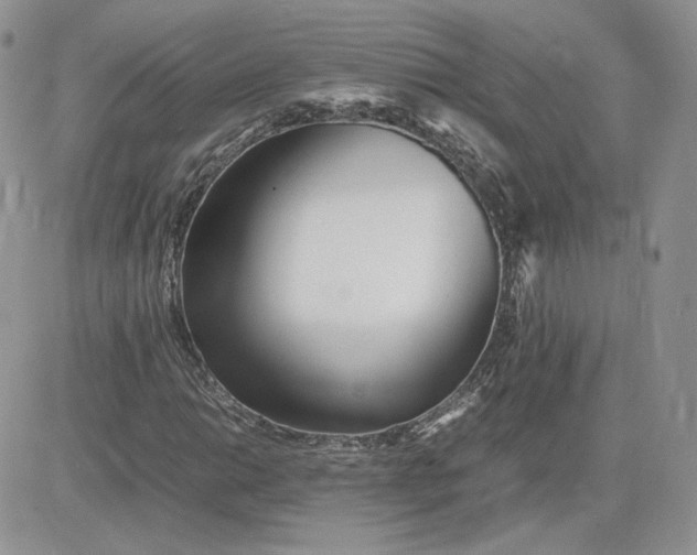 X0000081431014200701261817