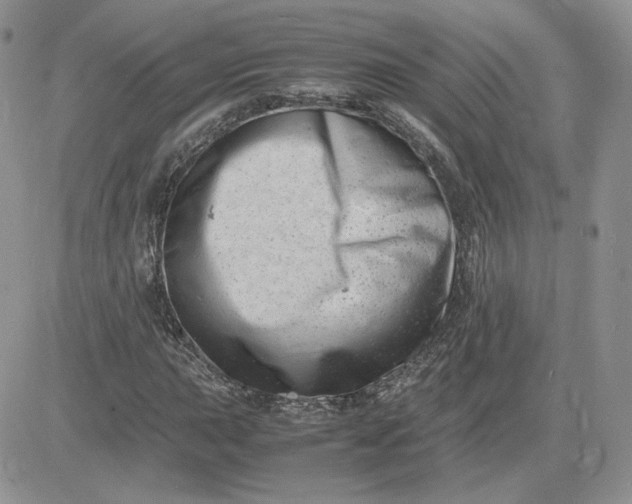 X0000081431015200701261817