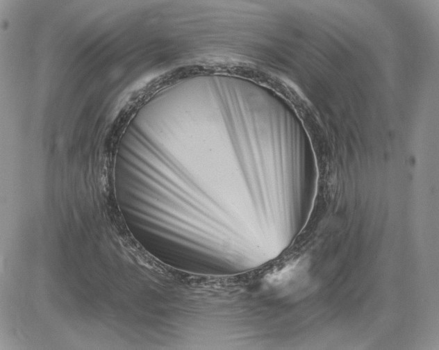 X0000081431016200701261817