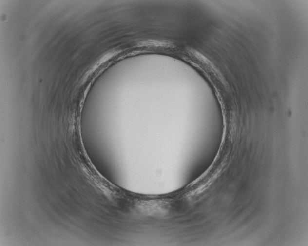 X0000081431017200701261817