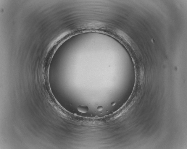 X0000081431018200701261817