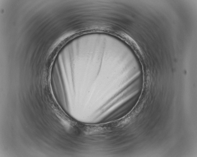 X0000081431019200701261817