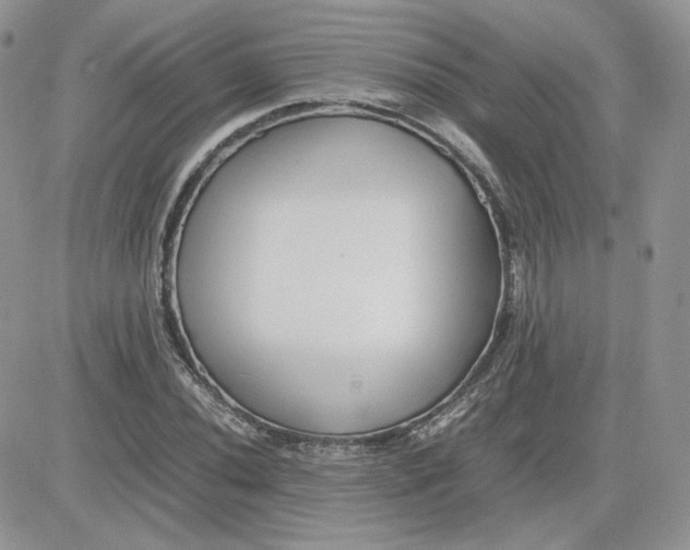 X0000081431020200701261817