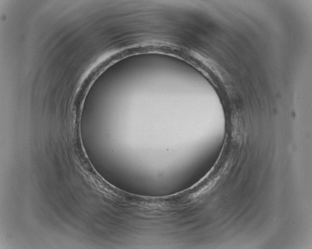 X0000081431021200701261817