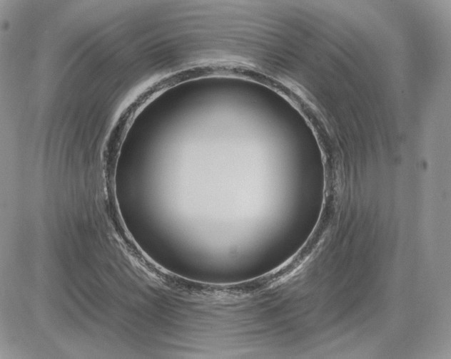 X0000081431022200701261817