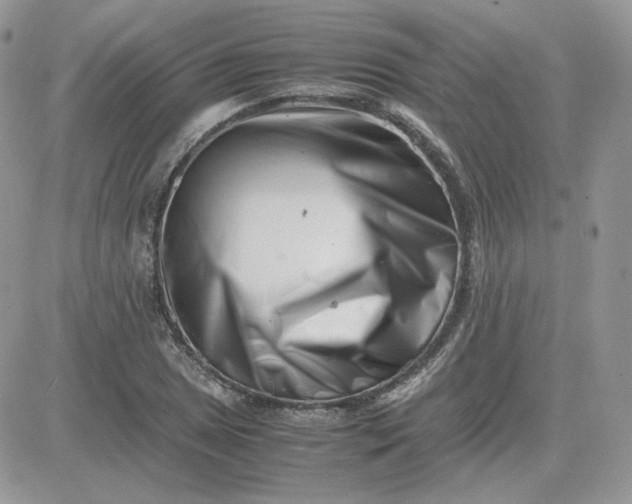 X0000081431025200701261817