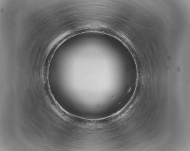 X0000081431026200701261817