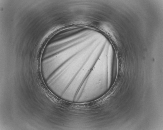 X0000081431027200701261817