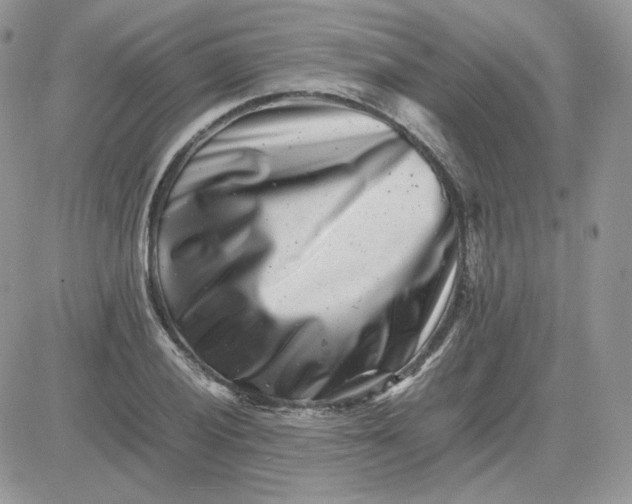 X0000081431028200701261817