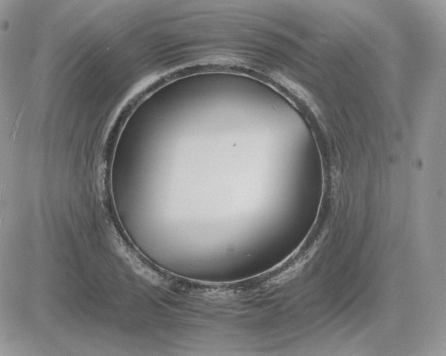 X0000081431029200701261817