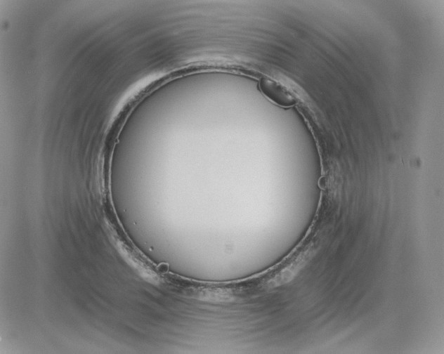 X0000081431030200701261817