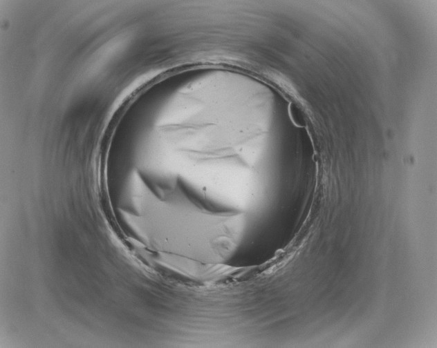 X0000081431032200701261817