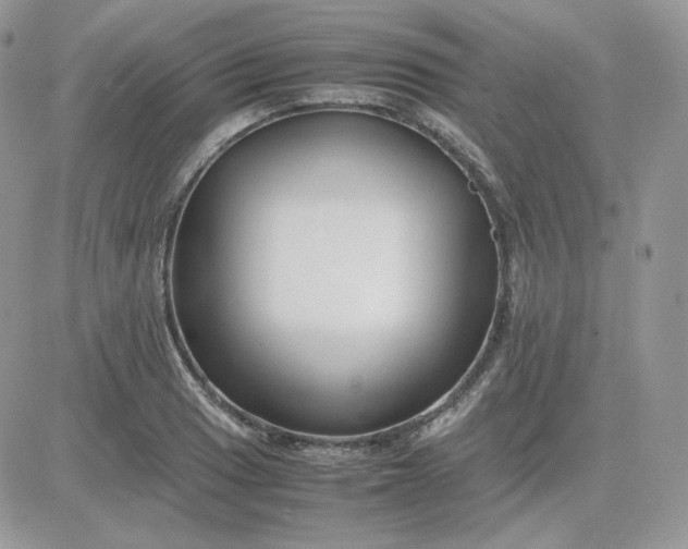 X0000081431033200701261817