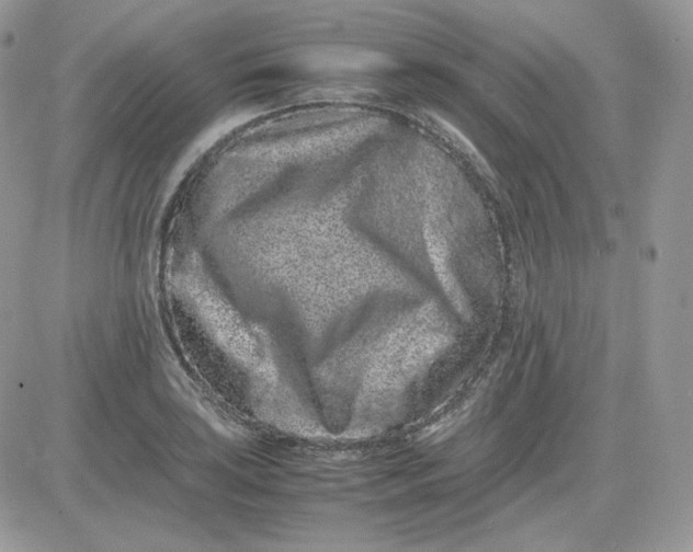 X0000081431035200701261817