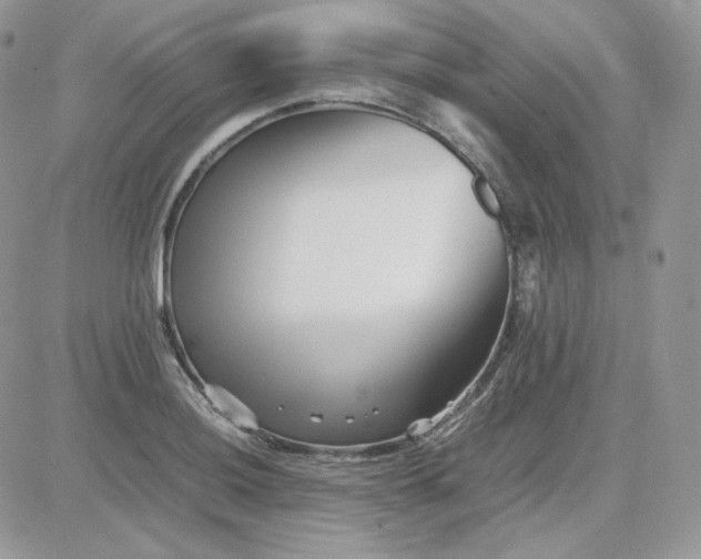 X0000081431036200701261817