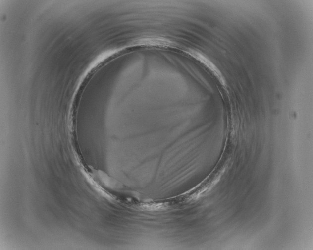 X0000081431037200701261817