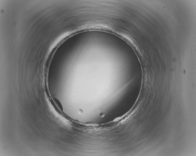 X0000081431038200701261817