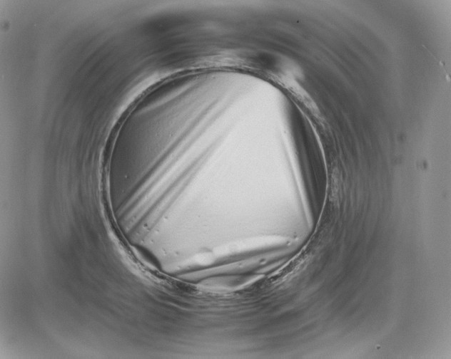 X0000081431039200701261817