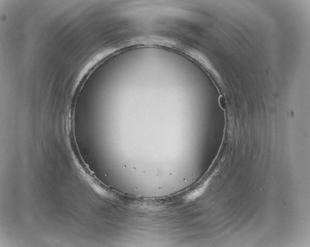 X0000081431040200701261817