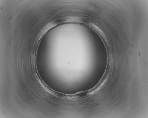 X0000081431041200701261817