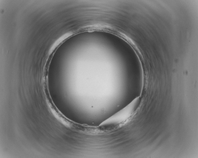 X0000081431042200701261817