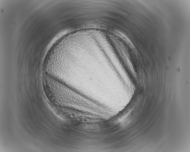 X0000081431043200701261817