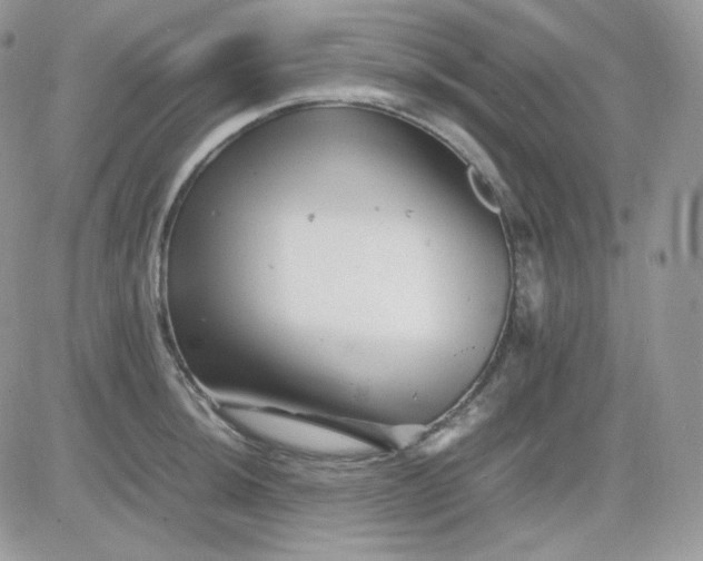 X0000081431044200701261817