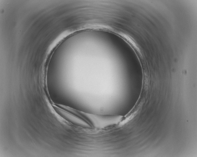 X0000081431046200701261818