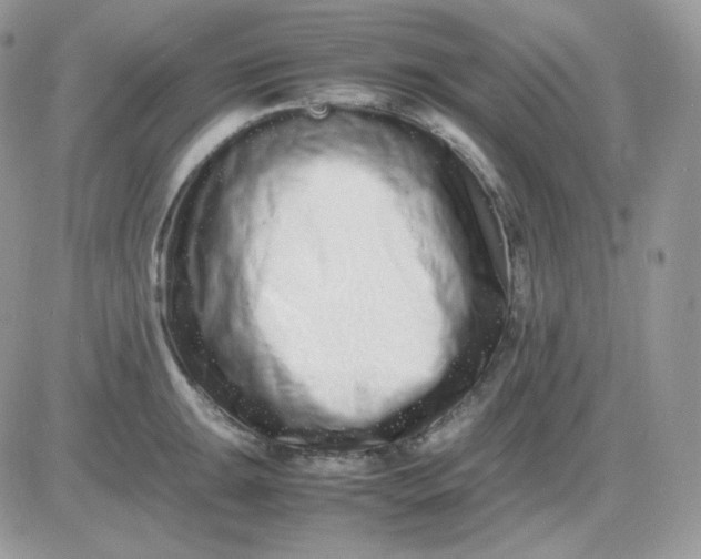 X0000081431047200701261818