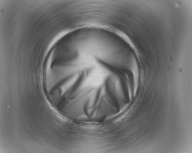 X0000081431048200701261818