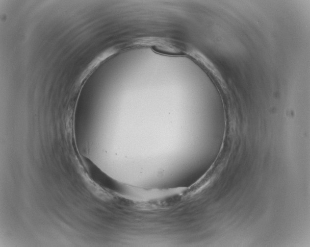 X0000081431049200701261818