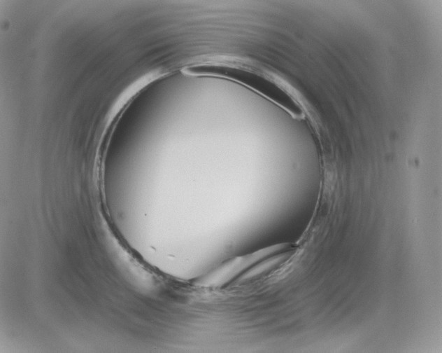 X0000081431050200701261818