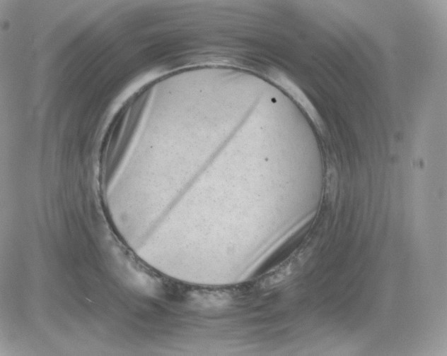 X0000081431051200701261818