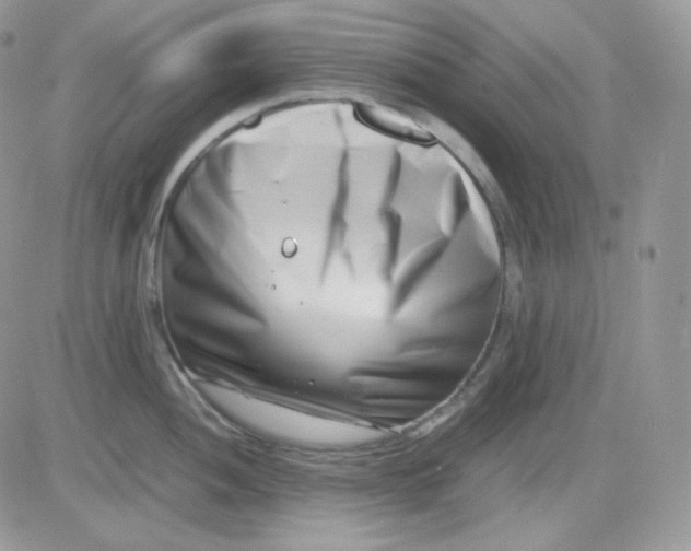 X0000081431052200701261818