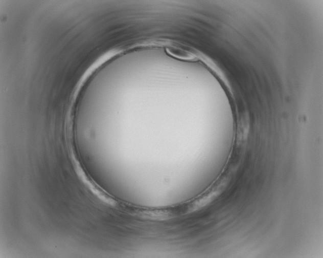 X0000081431053200701261818