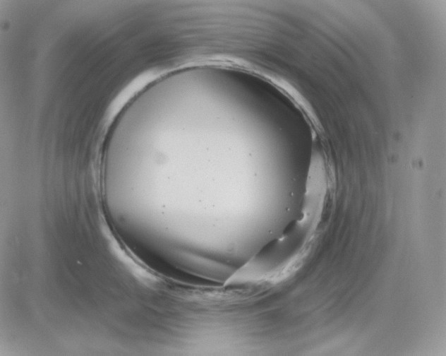 X0000081431054200701261818