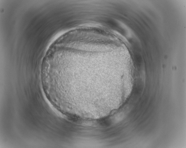 X0000081431055200701261818