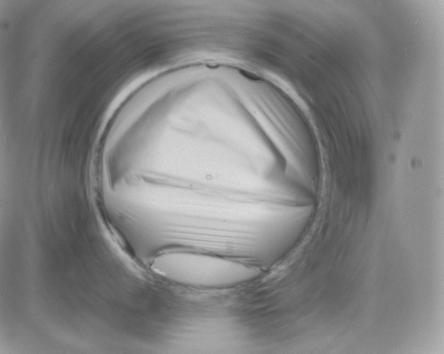 X0000081431056200701261818