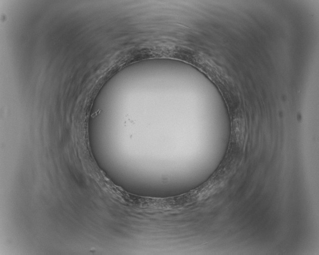 X0000081431057200701261817