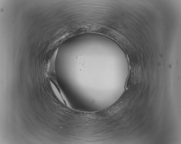 X0000081431058200701261817