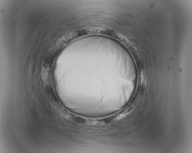 X0000081431059200701261817