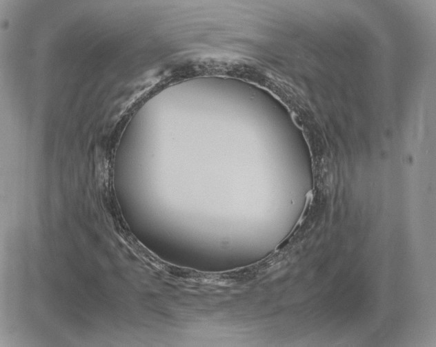 X0000081431061200701261817