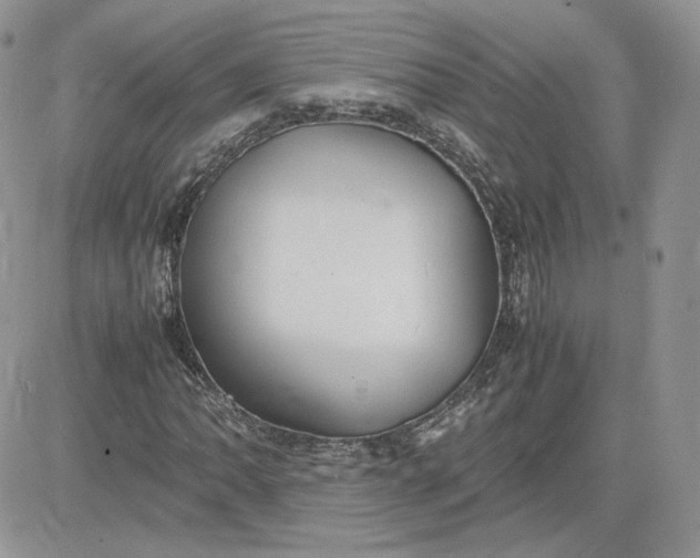 X0000081431062200701261817