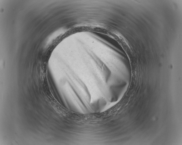 X0000081431064200701261817