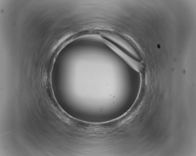 X0000081431065200701261817