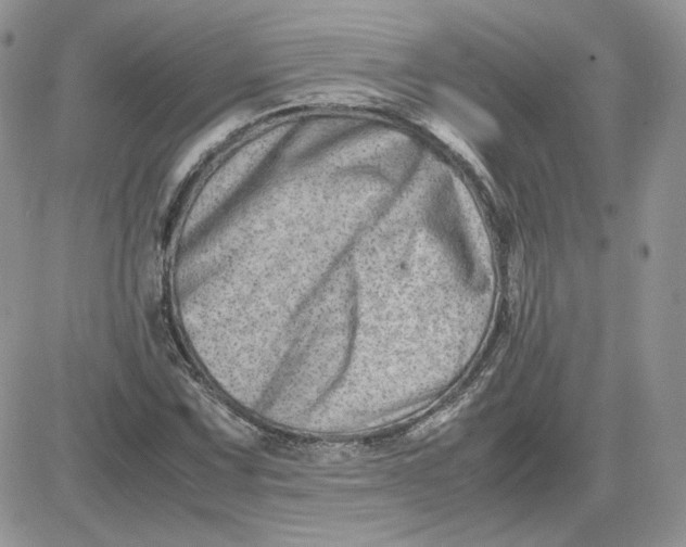 X0000081431067200701261817