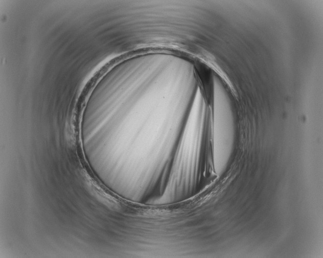 X0000081431068200701261817