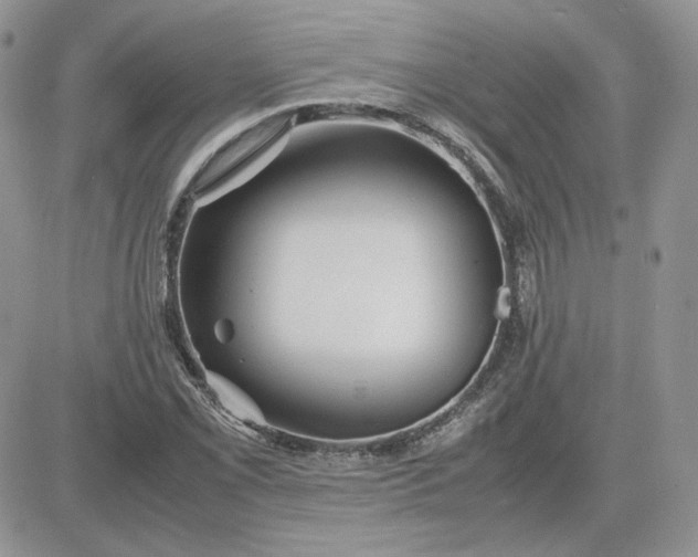 X0000081431069200701261817