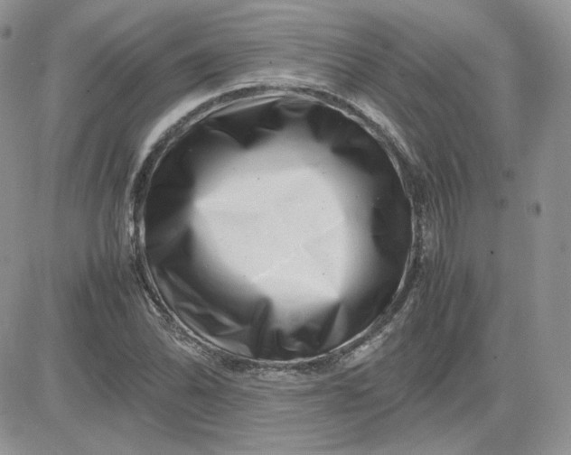 X0000081431070200701261817