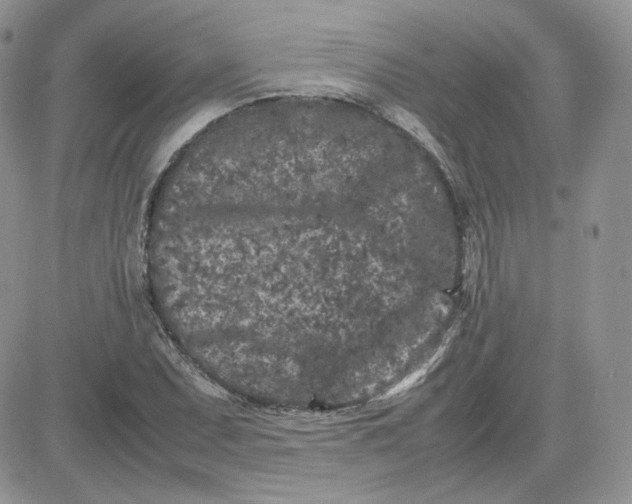 X0000081431071200701261817